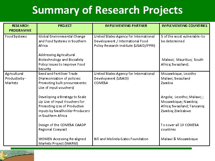 Summary of Research Projects RESEARCH PROGRAMME Food Systems Agricultural Productivity Markets PROJECT Global Environmental