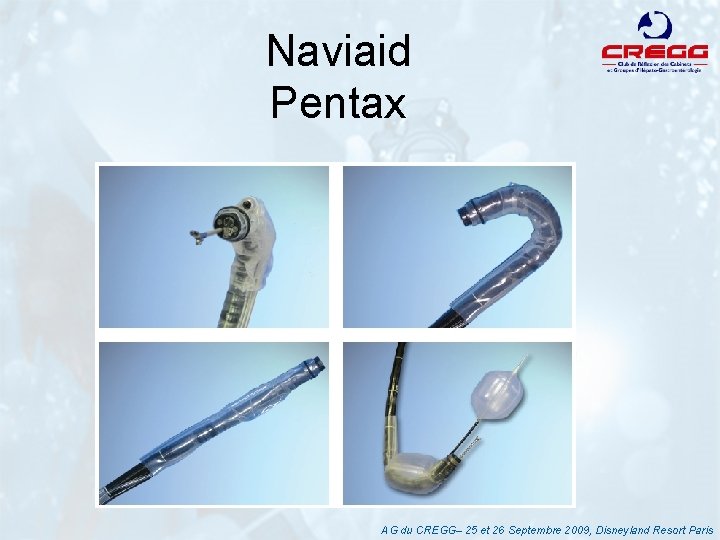 Naviaid Pentax AG du CREGG– 25 et 26 Septembre 2009, Disneyland Resort Paris 
