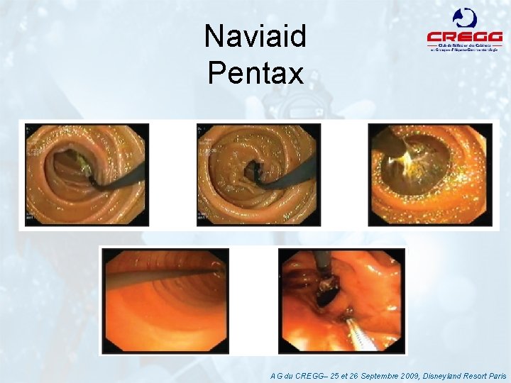 Naviaid Pentax AG du CREGG– 25 et 26 Septembre 2009, Disneyland Resort Paris 