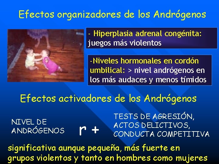 Efectos organizadores de los Andrógenos - Hiperplasia adrenal congénita: juegos más violentos -Niveles hormonales