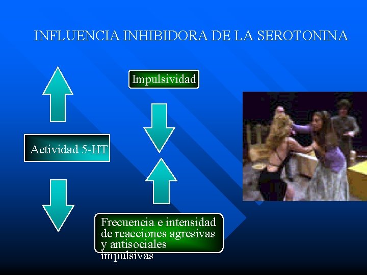 INFLUENCIA INHIBIDORA DE LA SEROTONINA Impulsividad Actividad 5 -HT Frecuencia e intensidad de reacciones