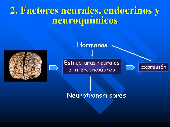2. Factores neurales, endocrinos y neuroquímicos Hormonas Estructuras neurales e interconexiones Neurotransmisores Expresión 