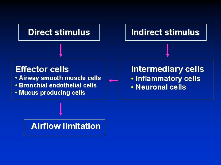 Direct stimulus Effector cells • Airway smooth muscle cells • Bronchial endothelial cells •