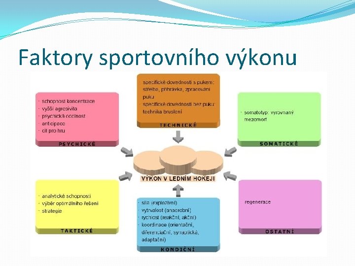 Faktory sportovního výkonu 