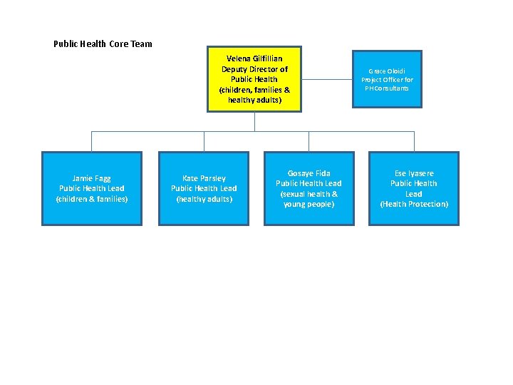 Public Health Core Team Velena Gilfillian Deputy Director of Public Health (children, families &
