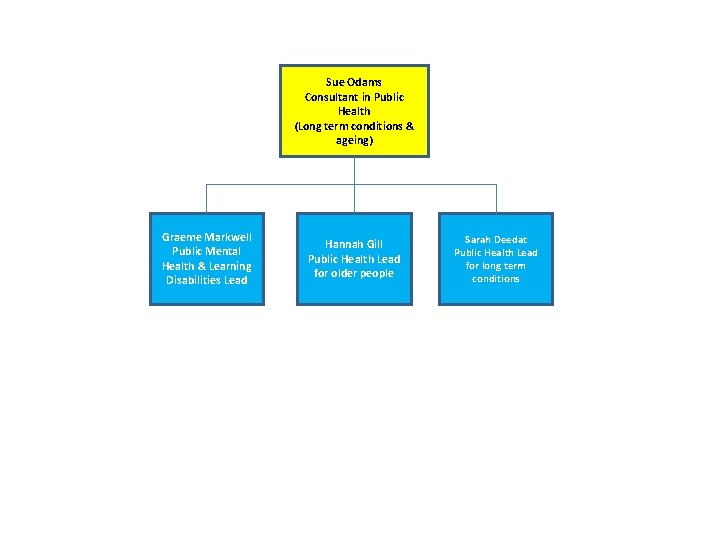 Sue Odams Consultant in Public Health (Long term conditions & ageing) Graeme Markwell Public