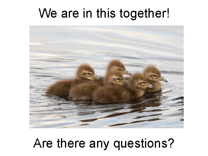 We are in this together! Are there any questions? 