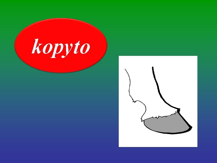 kopyto 