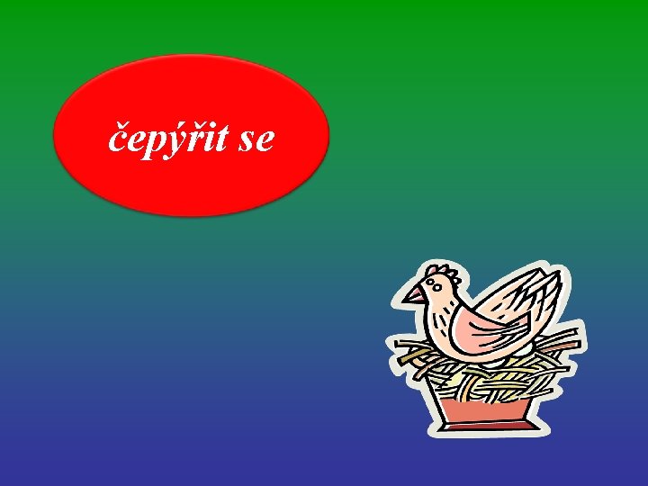 čepýřit se 