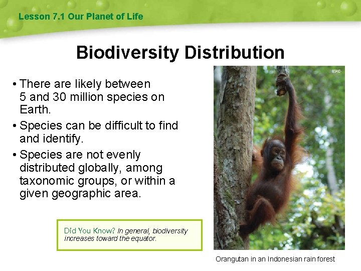 Lesson 7. 1 Our Planet of Life Biodiversity Distribution • There are likely between