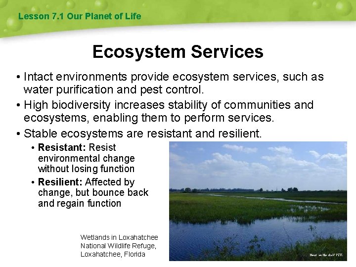 Lesson 7. 1 Our Planet of Life Ecosystem Services • Intact environments provide ecosystem