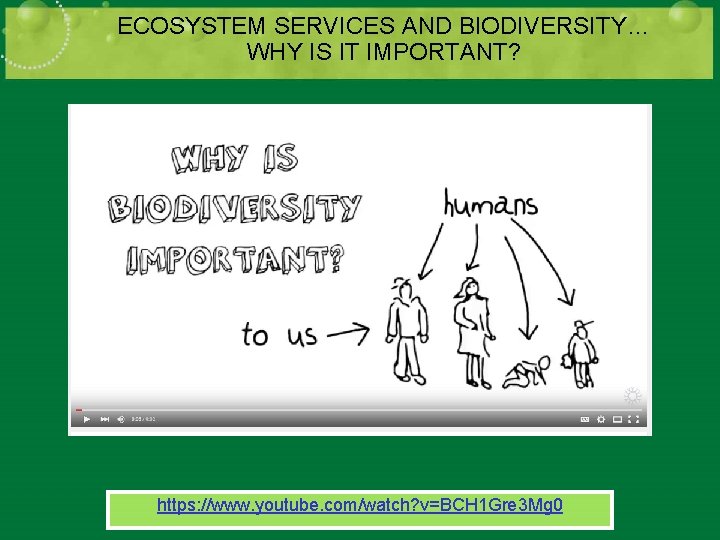 ECOSYSTEM SERVICES AND BIODIVERSITY… WHY IS IT IMPORTANT? https: //www. youtube. com/watch? v=BCH 1