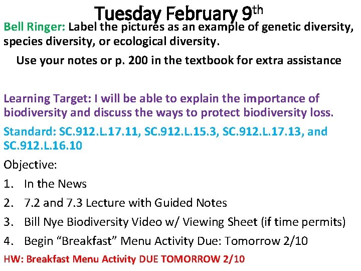 Tuesday February 9 th Bell Ringer: Label the pictures as an example of genetic