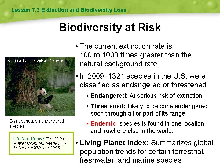Lesson 7. 2 Extinction and Biodiversity Loss Biodiversity at Risk • The current extinction