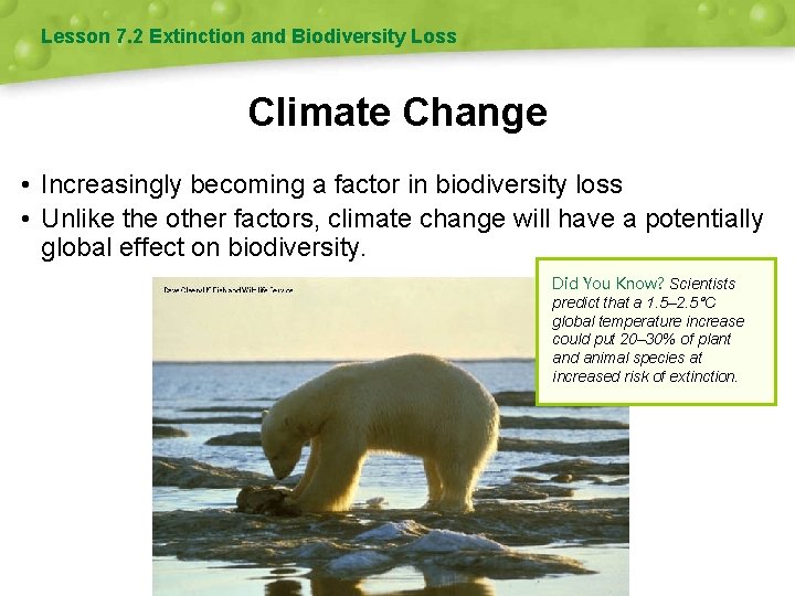 Lesson 7. 2 Extinction and Biodiversity Loss Climate Change • Increasingly becoming a factor