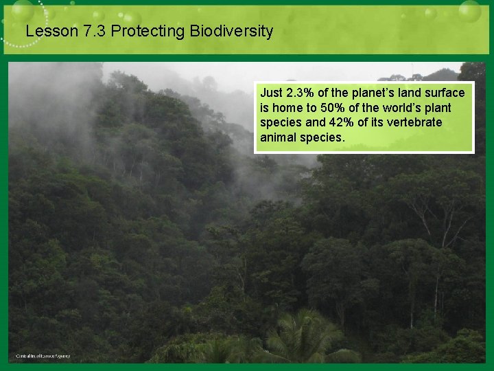 Lesson 7. 3 Protecting Biodiversity Just 2. 3% of the planet’s land surface is