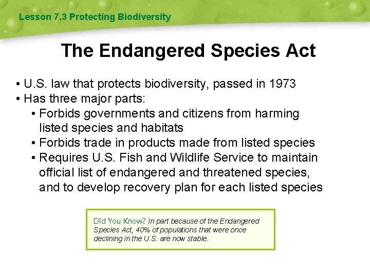 Lesson 7. 3 Protecting Biodiversity The Endangered Species Act • U. S. law that