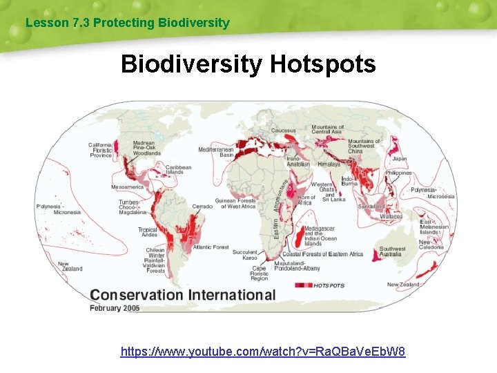 Lesson 7. 3 Protecting Biodiversity Hotspots https: //www. youtube. com/watch? v=Ra. QBa. Ve. Eb. Lesson 7. 3 Protecting Biodiversity Hotspots https: //www. youtube. com/watch? v=Ra. QBa. Ve. Eb.