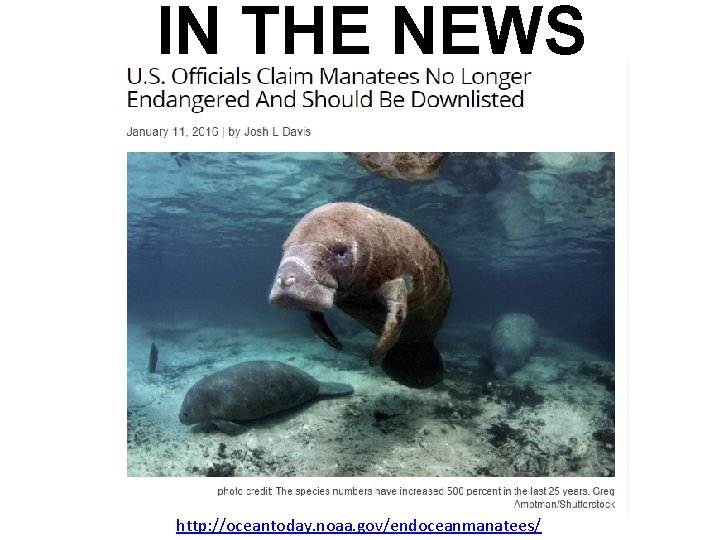 IN THE NEWS http: //oceantoday. noaa. gov/endoceanmanatees/ 