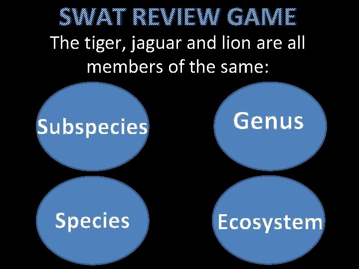SWAT REVIEW GAME The tiger, jaguar and lion are all members of the same: SWAT REVIEW GAME The tiger, jaguar and lion are all members of the same: