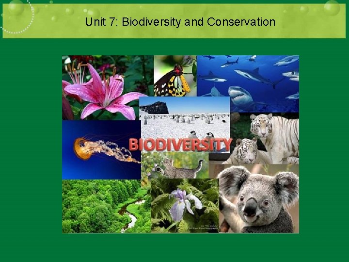 Unit 7: Biodiversity and Conservation 