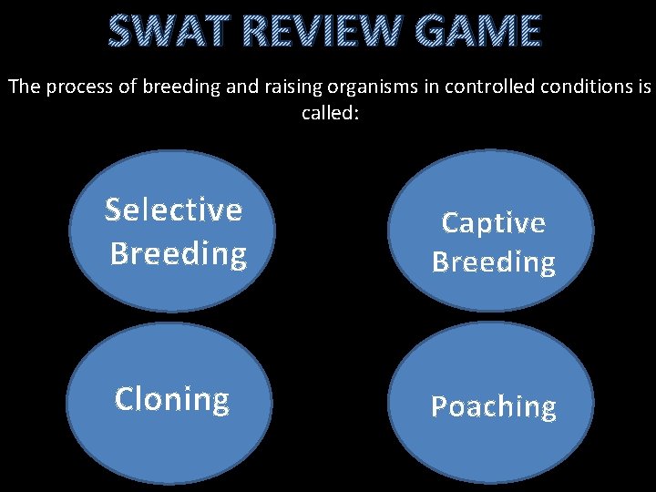 SWAT REVIEW GAME The process of breeding and raising organisms in controlled conditions is