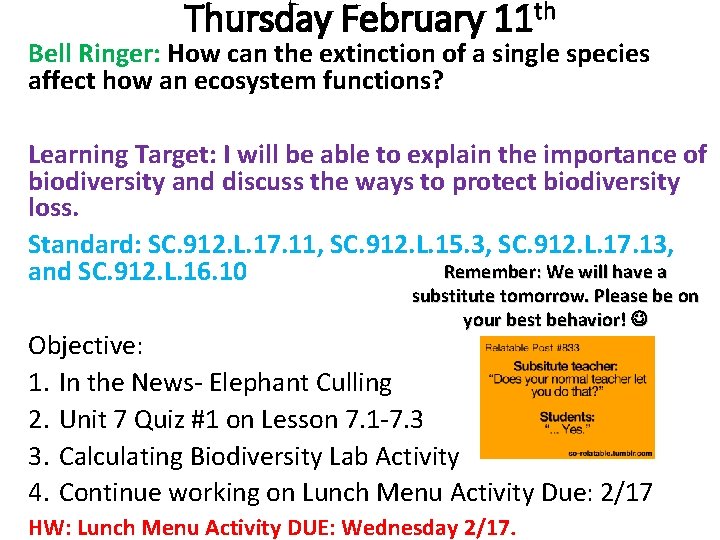 Thursday February 11 th Bell Ringer: How can the extinction of a single species