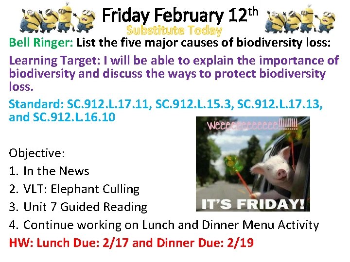 Friday February 12 th Bell Ringer: List the five major causes of biodiversity loss: