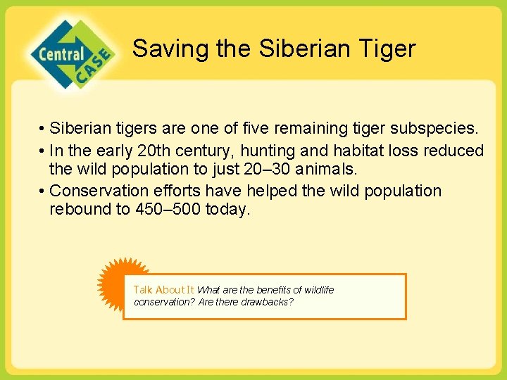 Saving the Siberian Tiger • Siberian tigers are one of five remaining tiger subspecies. Saving the Siberian Tiger • Siberian tigers are one of five remaining tiger subspecies.