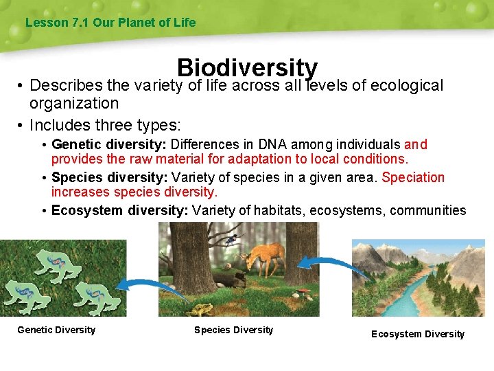 Lesson 7. 1 Our Planet of Life Biodiversity • Describes the variety of life