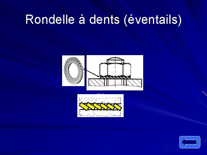 Rondelle à dents (éventails) Détail : 