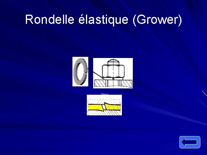 Rondelle élastique (Grower) Détail : 