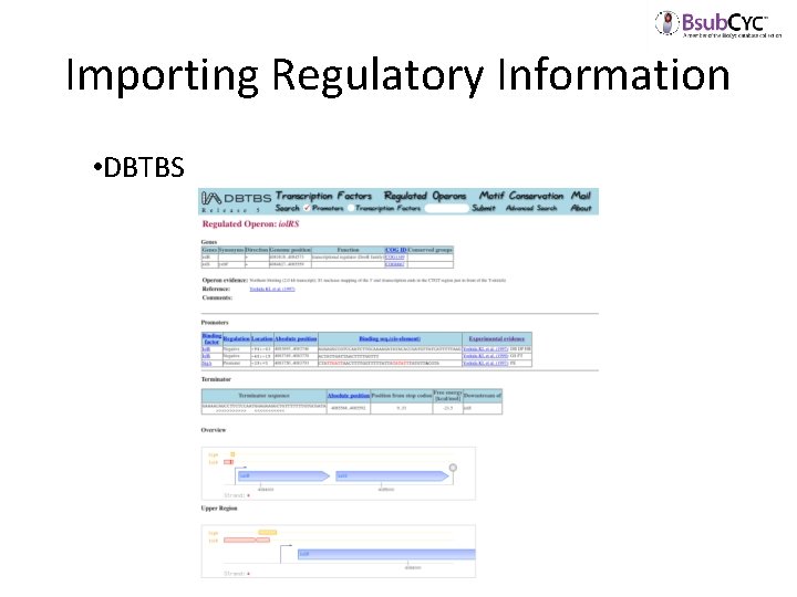 Importing Regulatory Information • DBTBS 