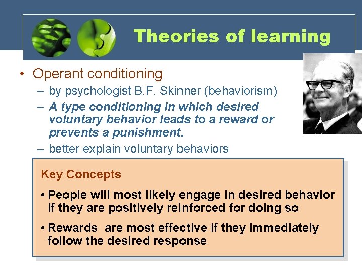 Theories of learning • Operant conditioning – by psychologist B. F. Skinner (behaviorism) –