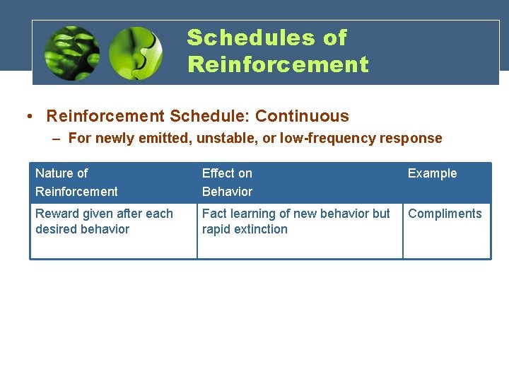 Schedules of Reinforcement • Reinforcement Schedule: Continuous – For newly emitted, unstable, or low-frequency