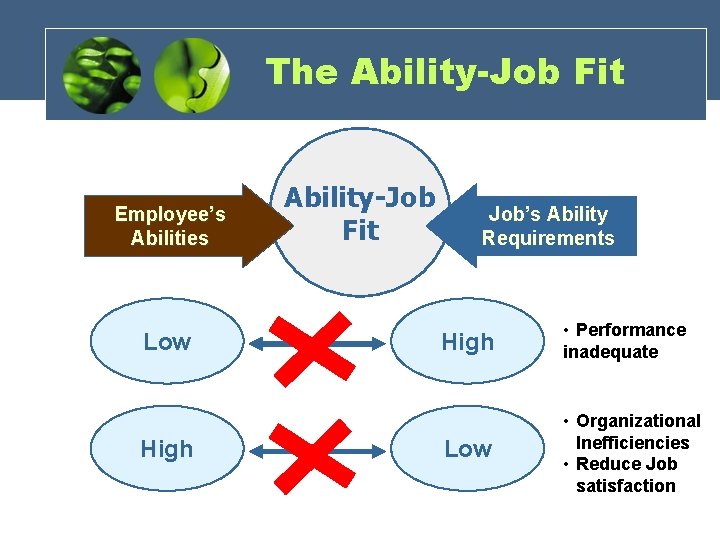 Chapter 2 Foundations of Individual Behavior ORGANIZATIONAL BEHAVIOR