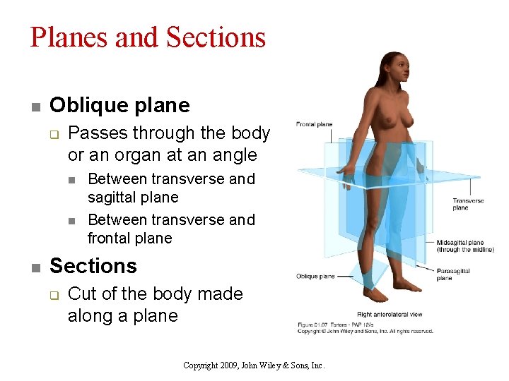 Planes and Sections n Oblique plane q Passes through the body or an organ