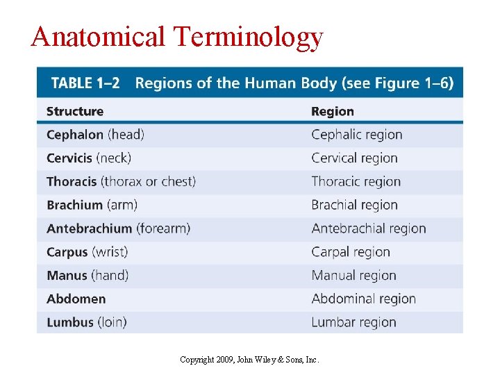 Anatomical Terminology Copyright 2009, John Wiley & Sons, Inc. 