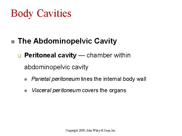 Body Cavities n The Abdominopelvic Cavity q Peritoneal cavity — chamber within abdominopelvic cavity