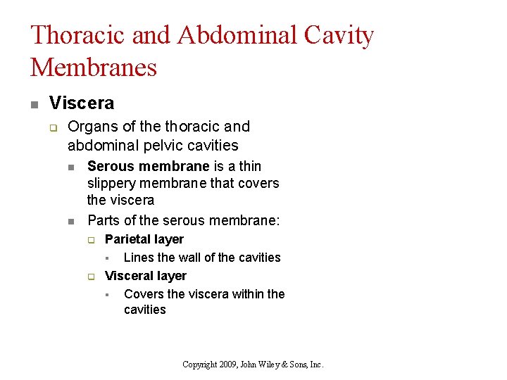 Thoracic and Abdominal Cavity Membranes n Viscera q Organs of the thoracic and abdominal