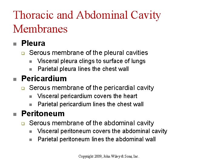 Thoracic and Abdominal Cavity Membranes n Pleura q Serous membrane of the pleural cavities