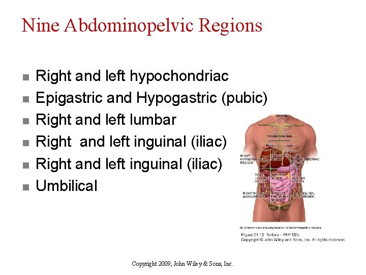 Nine Abdominopelvic Regions n n n Right and left hypochondriac Epigastric and Hypogastric (pubic)