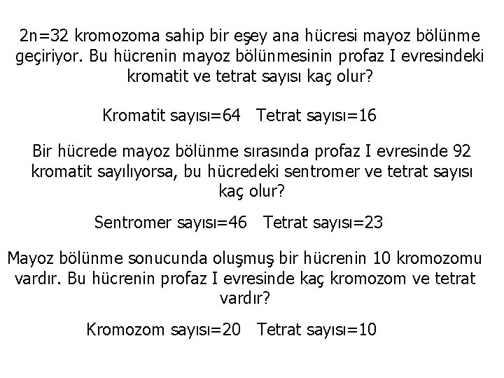 2 n=32 kromozoma sahip bir eşey ana hücresi mayoz bölünme geçiriyor. Bu hücrenin mayoz