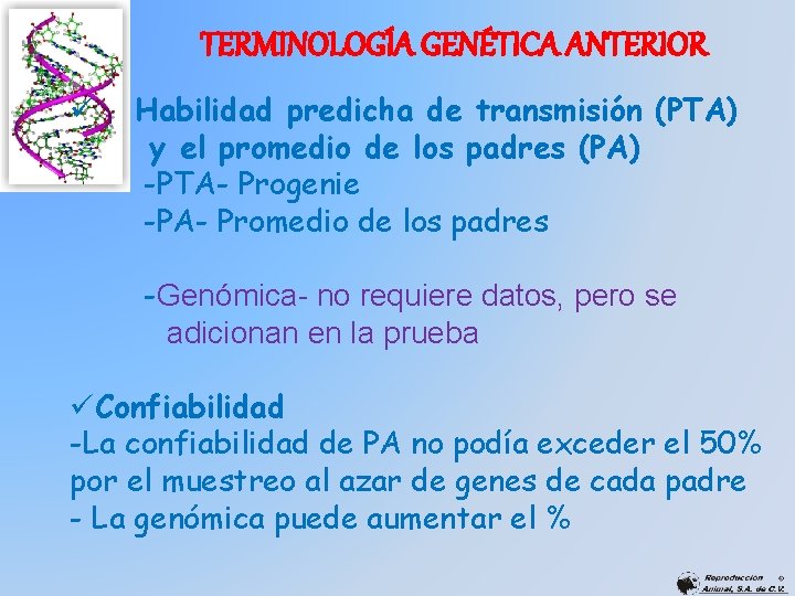 TERMINOLOGÍA GENÉTICA ANTERIOR ü Habilidad predicha de transmisión (PTA) y el promedio de los