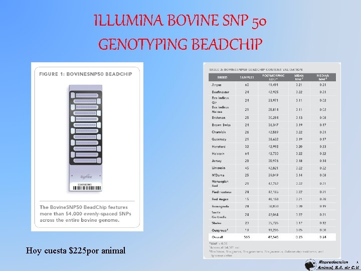 ILLUMINA BOVINE SNP 50 GENOTYPING BEADCHIP Hoy cuesta $225 por animal 