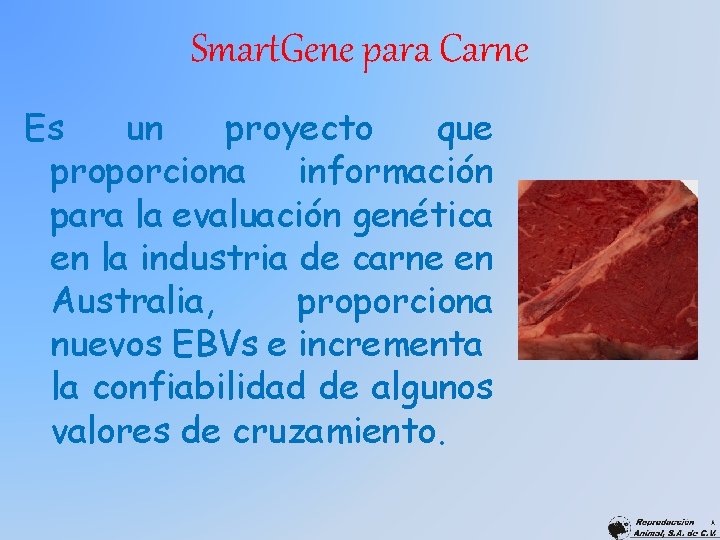Smart. Gene para Carne Es un proyecto que proporciona información para la evaluación genética