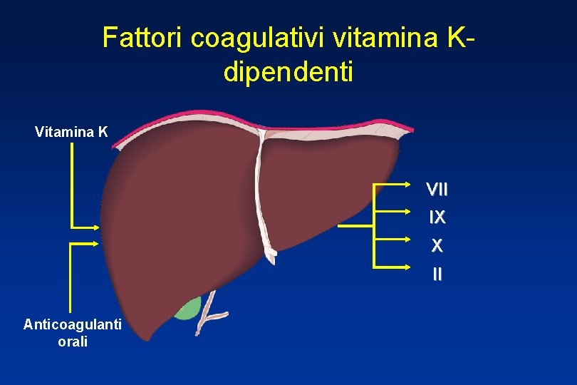 Fattori coagulativi vitamina Kdipendenti Vitamina K VII IX X II Anticoagulanti orali 