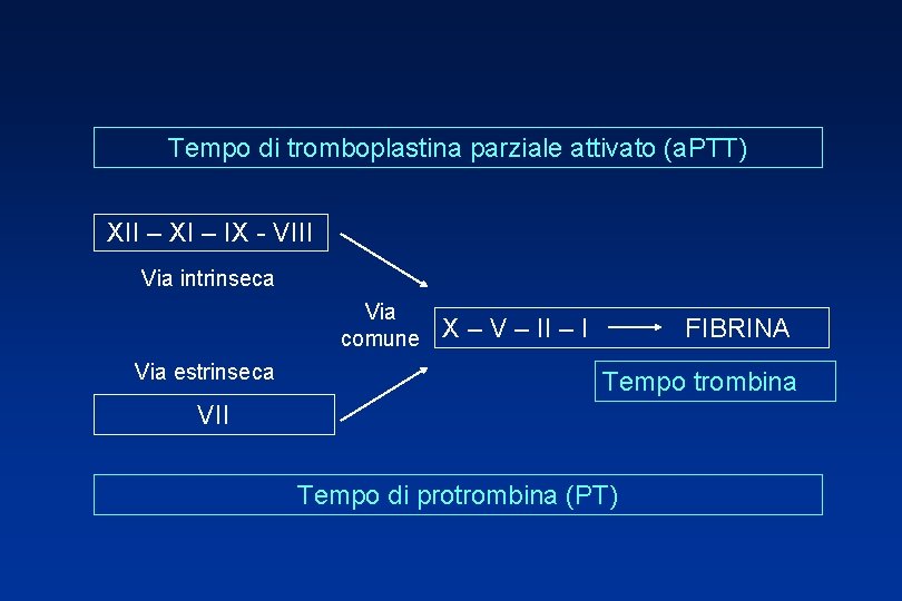 Tempo di tromboplastina parziale attivato (a. PTT) XII – XI – IX - VIII