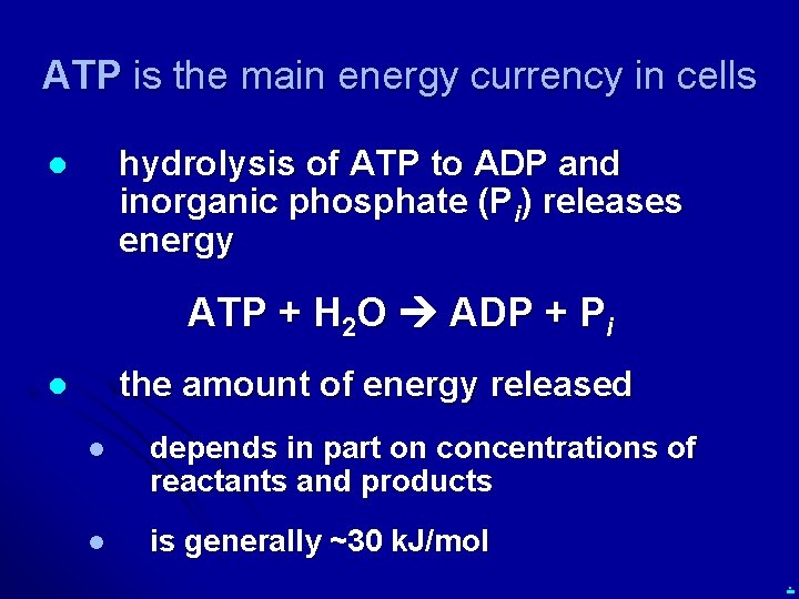Chapter 8 Energy and Metabolism Why do organisms