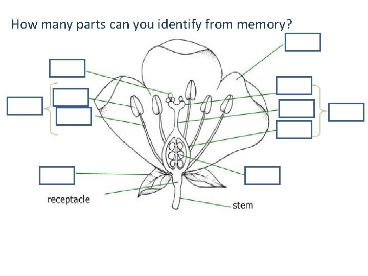 How many parts can you identify from memory? 